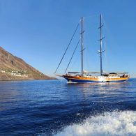 imgi_40_401673129_362784556200797_8319838307559920534_n